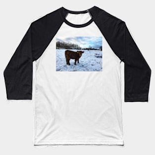 Scottish Highland Cattle Calf 1606 Baseball T-Shirt